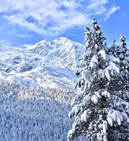 Bed & Breakfast Hotel Nives
