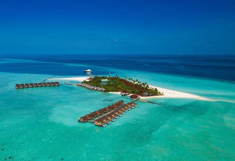 Dhigufaru Island Resort