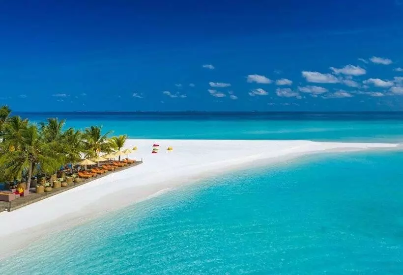 Dhigufaru Island Resort