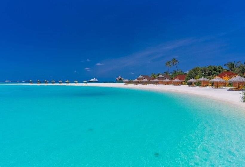 Dhigufaru Island Resort