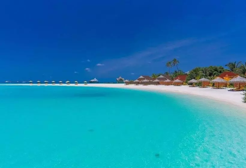 Dhigufaru Island Resort