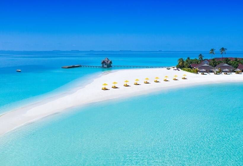 Dhigufaru Island Resort