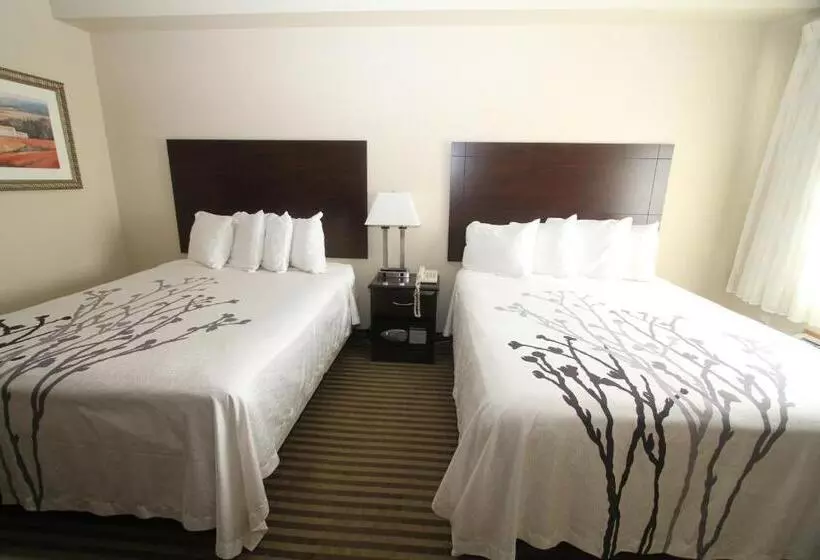ホテル Bowman Inn And Suites