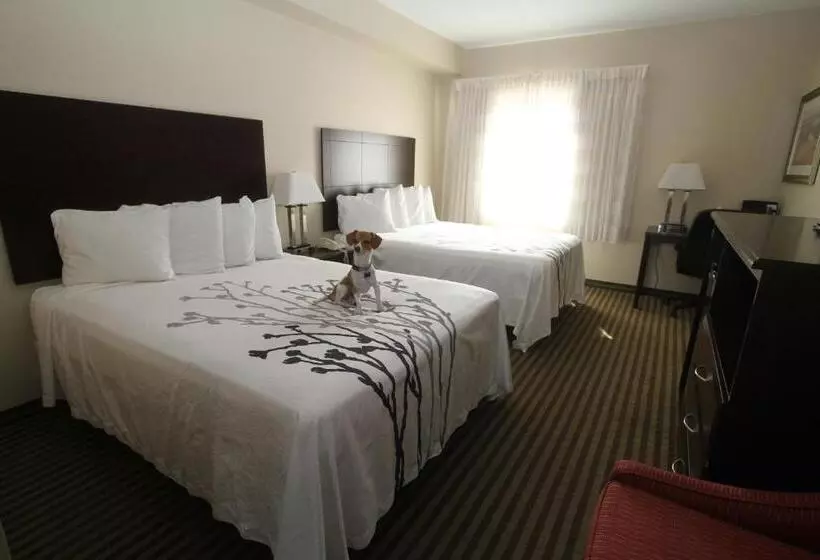ホテル Bowman Inn And Suites