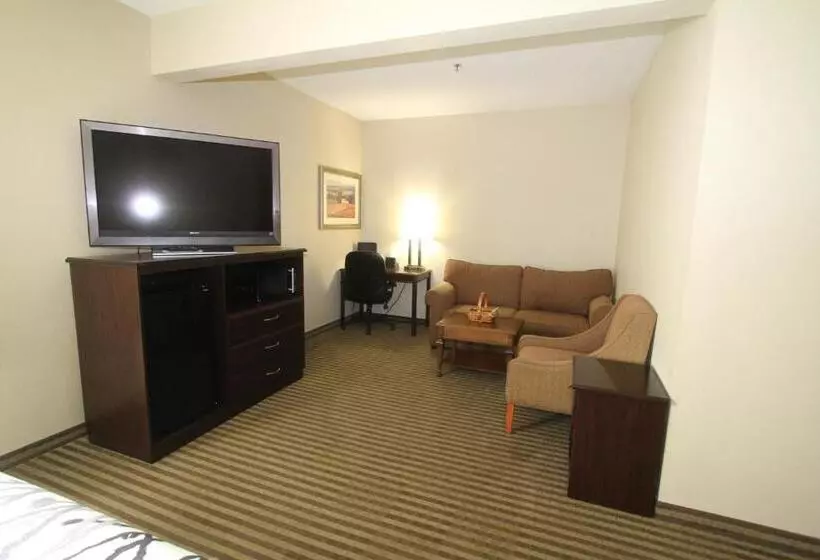 ホテル Bowman Inn And Suites