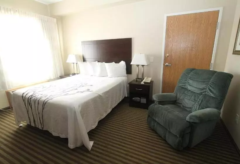 ホテル Bowman Inn And Suites