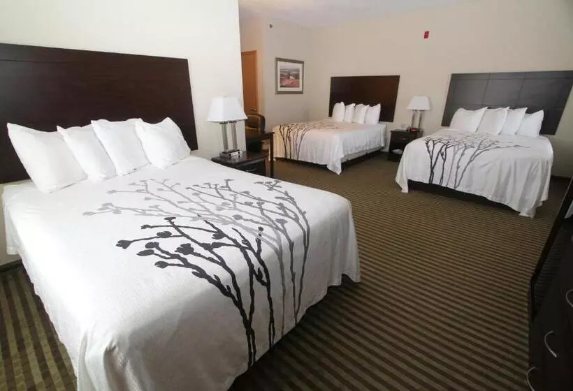 ホテル Bowman Inn And Suites