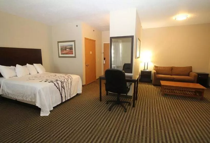 ホテル Bowman Inn And Suites