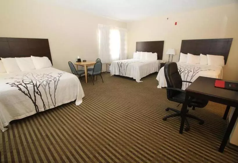 ホテル Bowman Inn And Suites