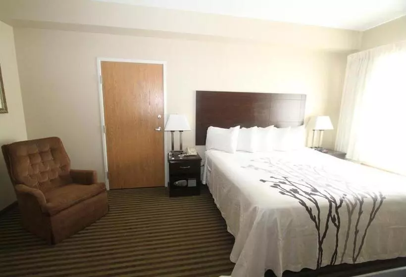 ホテル Bowman Inn And Suites
