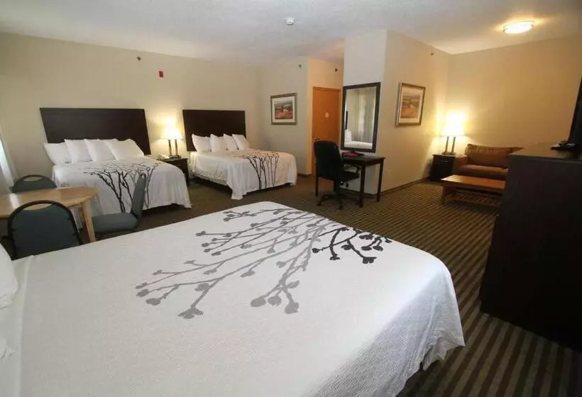 ホテル Bowman Inn And Suites