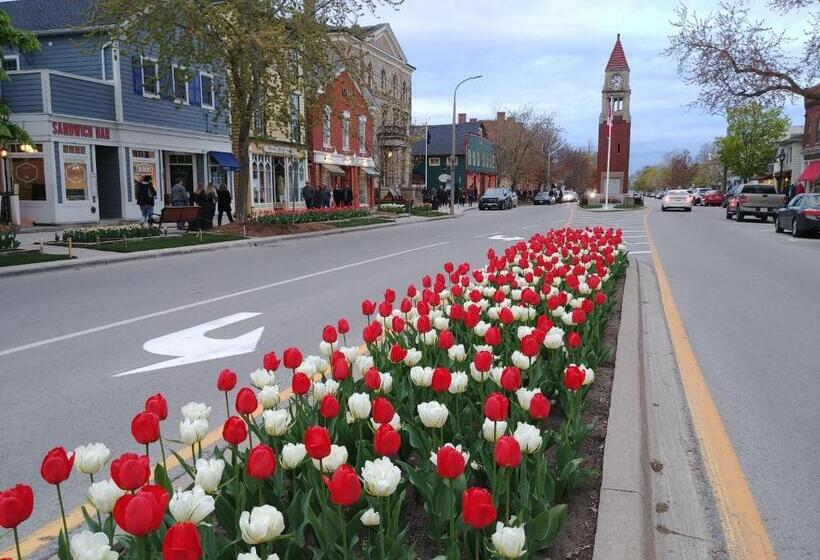 בית מלון כפרי Historic Wilson Guy House