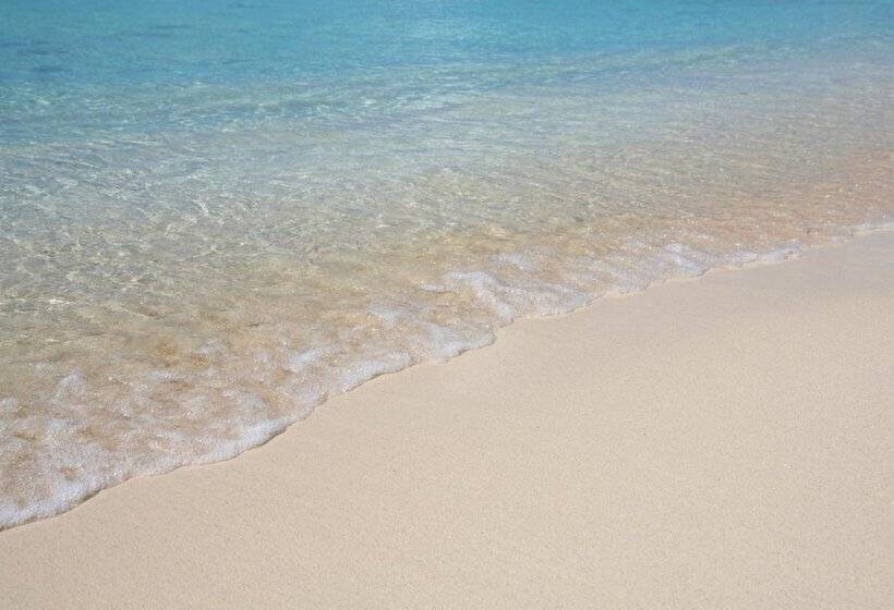 ホテル La Casa Del Turista