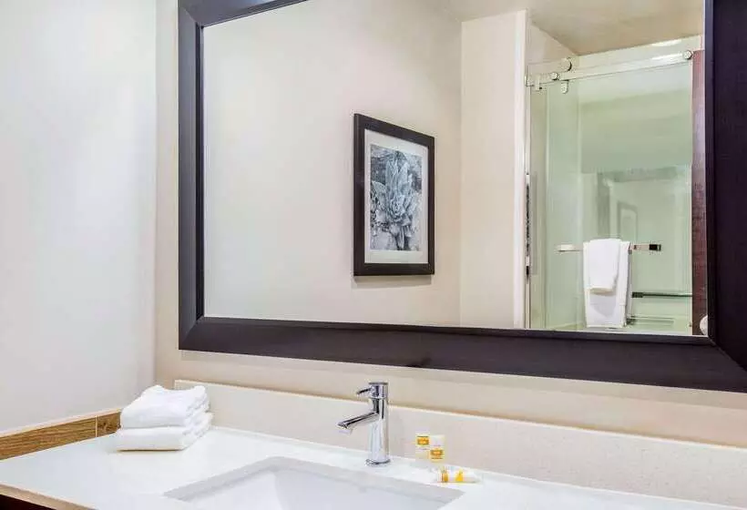 ホテル La Quinta By Wyndham Mcallen Convention Center