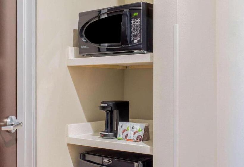 Szálloda La Quinta By Wyndham Mcallen Convention Center