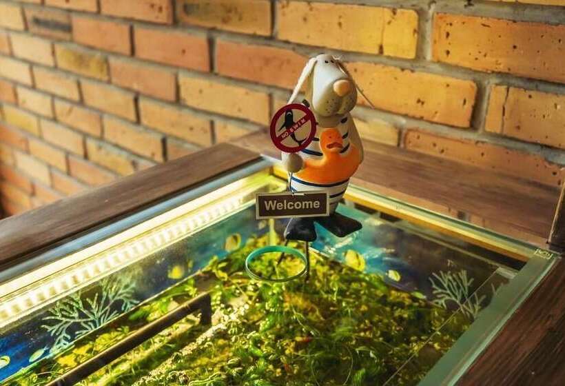 Hotelli Orbita Boutique