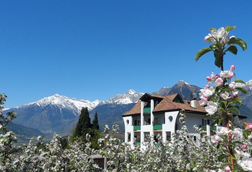 בית מלון כפרי Pension Verdorfer