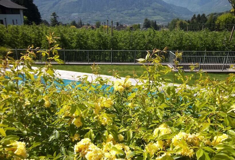 בית מלון כפרי Pension Verdorfer