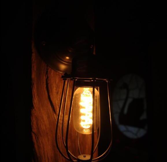 ホテル Black Swan Inn