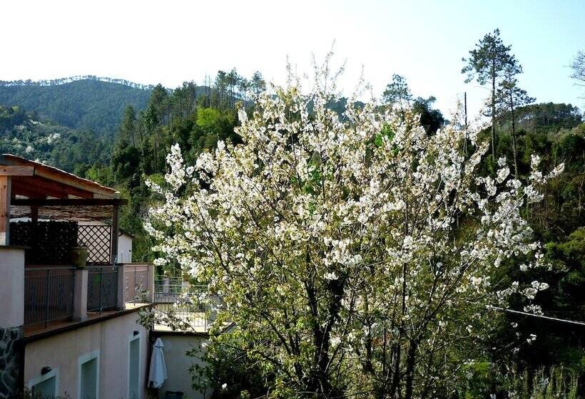 فندق Costa Morroni