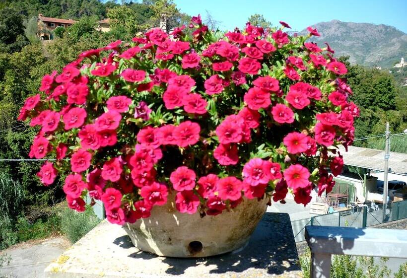 فندق Costa Morroni