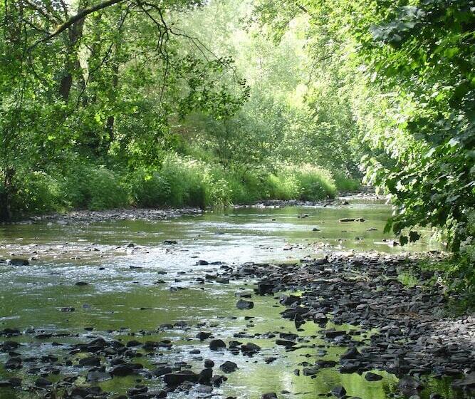 هتل Fox & Hounds Country