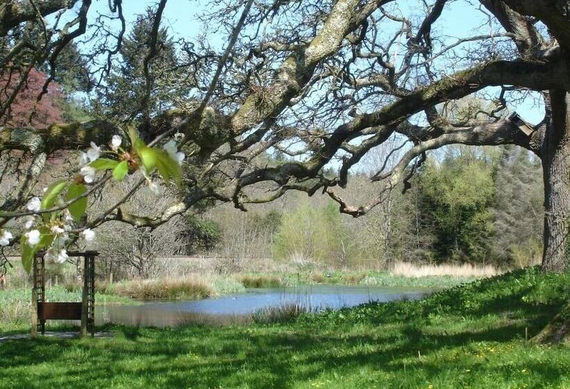 هتل Fox & Hounds Country