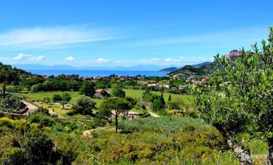 فندق Il Poggio Del Cenito