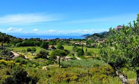 ホテル Il Poggio Del Cenito