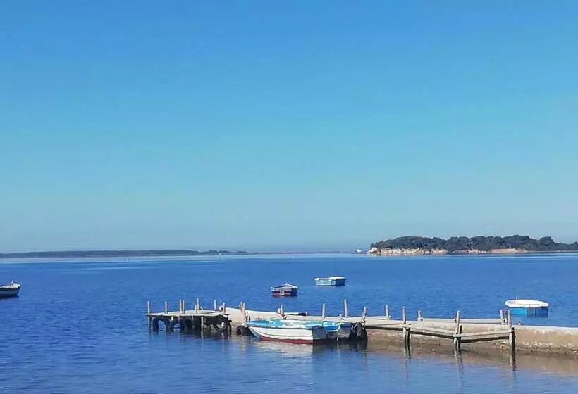 هتل La Mimosa Case Vacanze