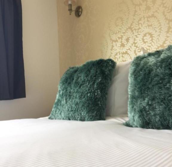 ホテル Black Swan Inn