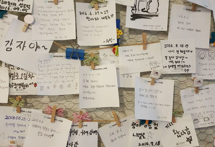 Dongbaekseom Guesthouse Hostel