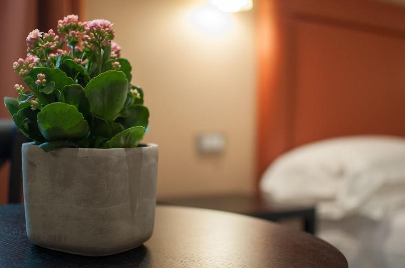 Hostelli My Trevi Charming & Luxury Rooms