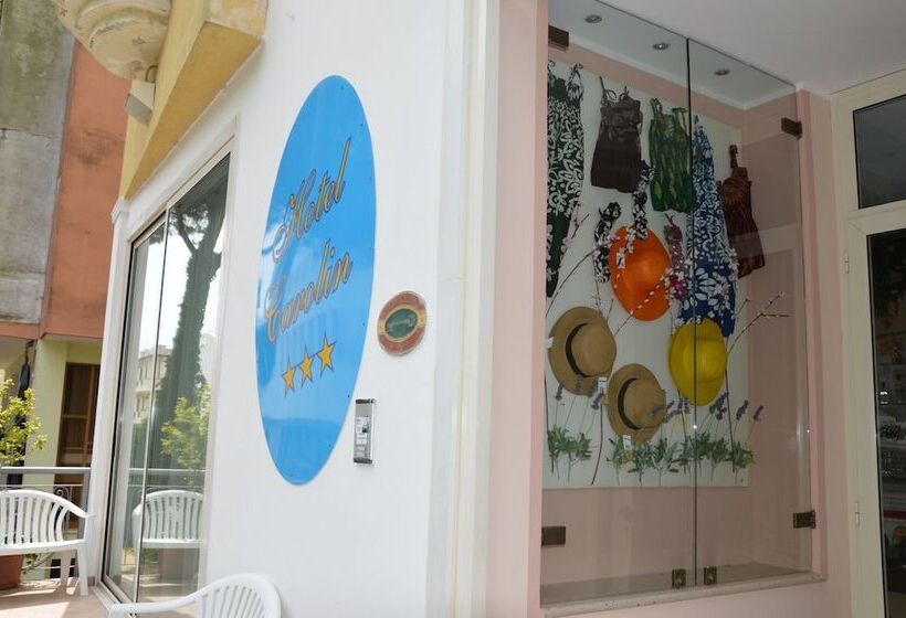 בית מלון כפרי Carolin