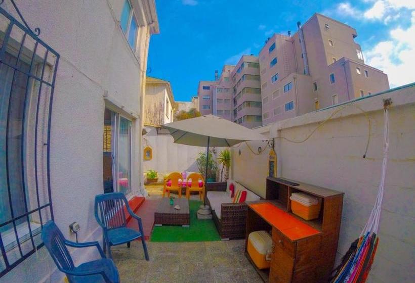 호텔 Hostel Jaguar