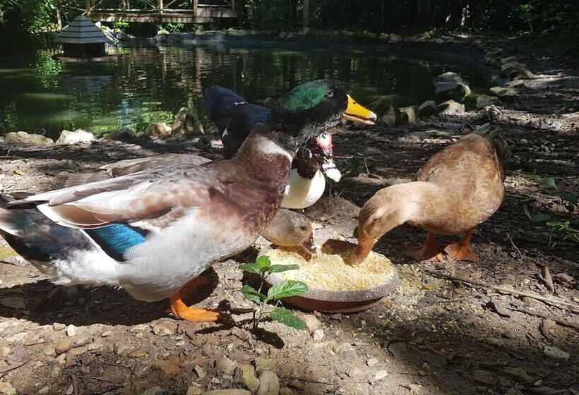 Отель Vanilla Hills Resort