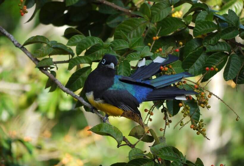 Отель Vanilla Hills Resort