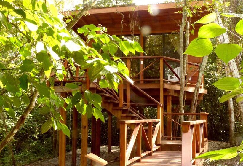 Отель Vanilla Hills Resort