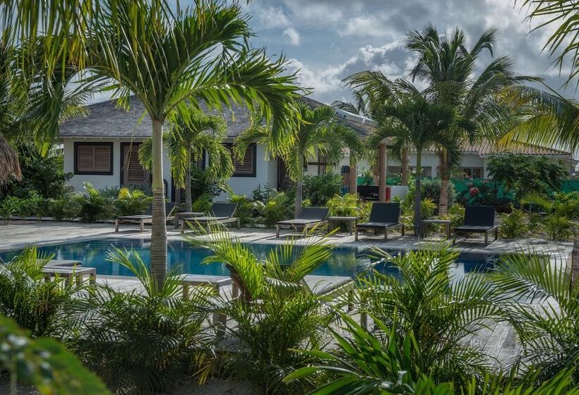 هتل Windhoek Resort Bonaire