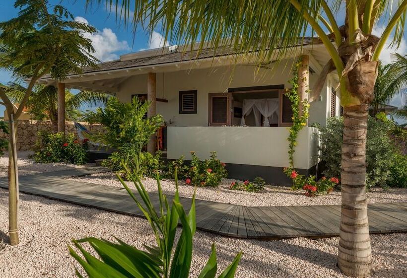 هتل Windhoek Resort Bonaire