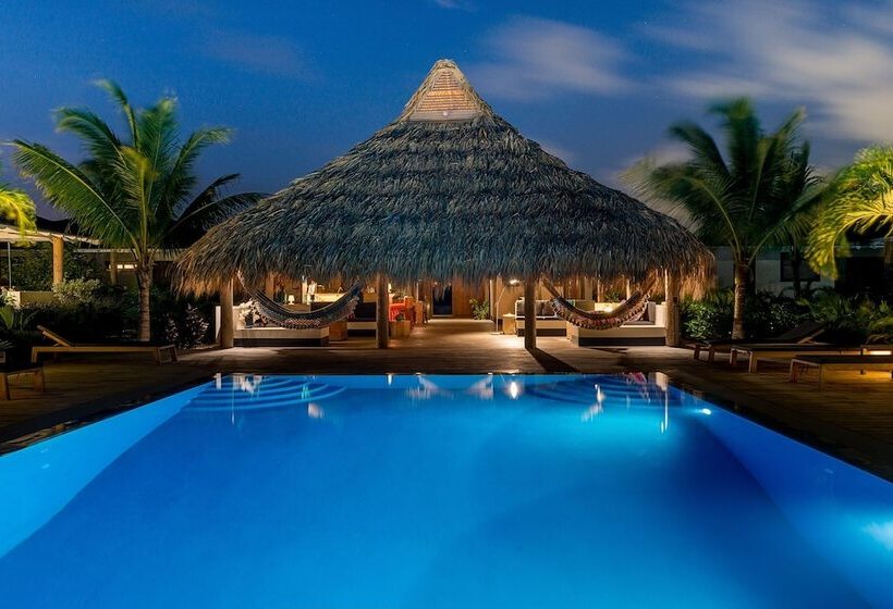 هتل Windhoek Resort Bonaire