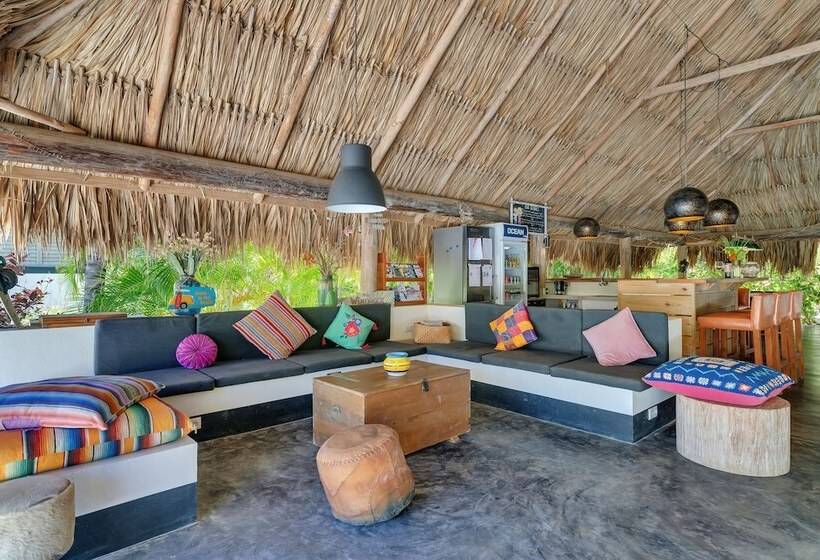 هتل Windhoek Resort Bonaire