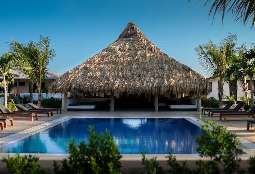 هتل Windhoek Resort Bonaire