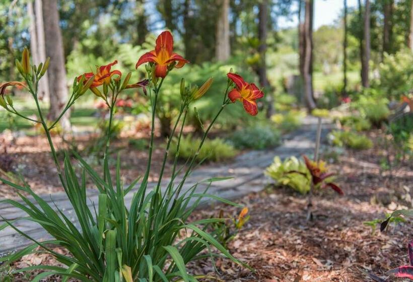 펜션 Alarks Nest Bed And Breakfast