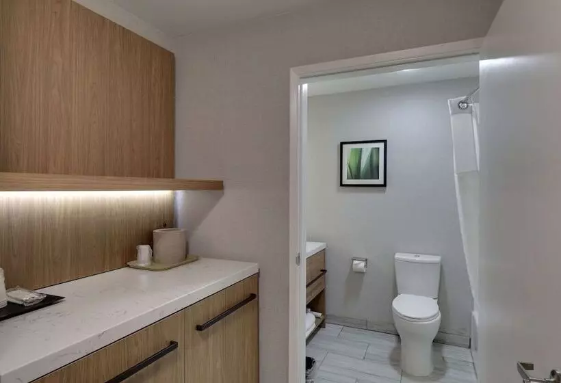 La Casa Modesto, Ascend Hotel Collection