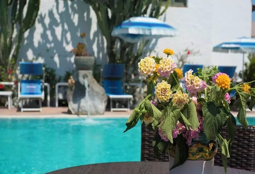 ペンション Room In B&b   Ischia Forio, In 4 Under The Sign Of Relaxation And Well Being