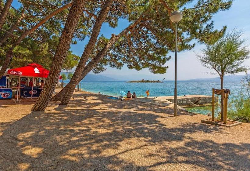 فندق Apartments Novi Vinodolski