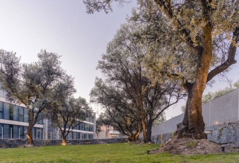 Epic Hotel Villa De Merlo