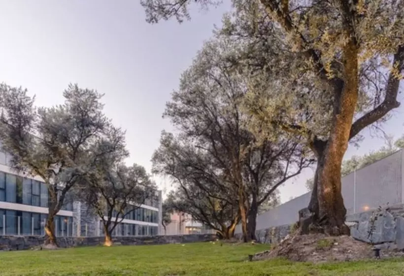 Epic Hotel Villa De Merlo