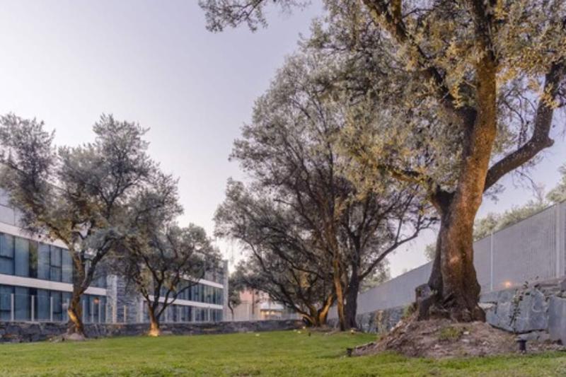 Epic Hotel Villa De Merlo